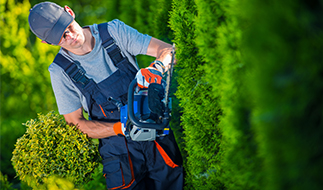 Landscaping	